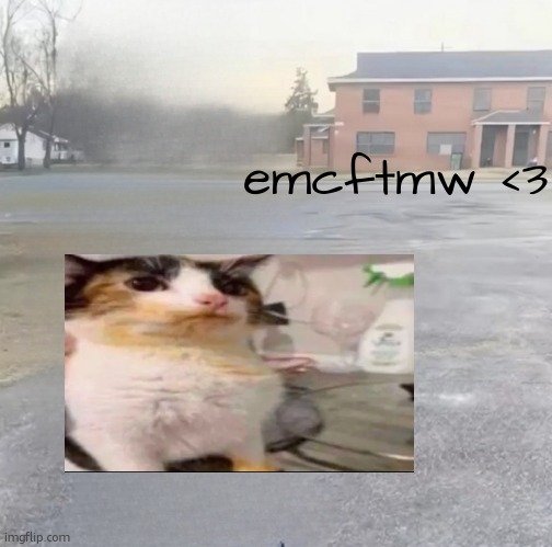 emcftmw <3 | emcftmw <3 | image tagged in blank sybau maker | made w/ Imgflip meme maker