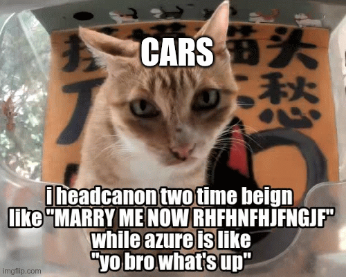 im bored | CARS | image tagged in gifs,cats,cars | made w/ Imgflip images-to-gif maker