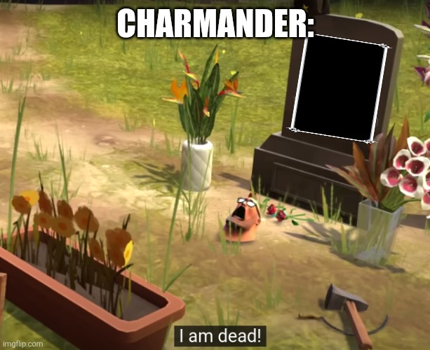 I am dead! | CHARMANDER: | image tagged in i am dead | made w/ Imgflip meme maker