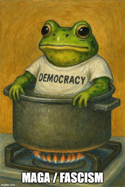 It's fine, everything's fine | MAGA / FASCISM | image tagged in frog in boiling water,fascism,democracy | made w/ Imgflip meme maker