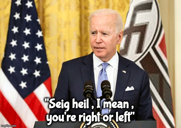 Joe Biden with US and Nazi German Flag | "Seig heil , I mean , 
you're right or left" | image tagged in joe biden with us and nazi german flag | made w/ Imgflip meme maker