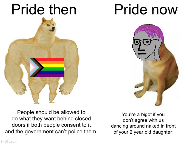 Let’s see how long this meme lasts before it gets banned | Pride then; Pride now; People should be allowed to do what they want behind closed doors if both people consent to it and the government can’t police them; You’re a bigot if you don’t agree with us dancing around naked in front of your 2 year old daughter | image tagged in memes,buff doge vs cheems,lgbt,then vs now | made w/ Imgflip meme maker