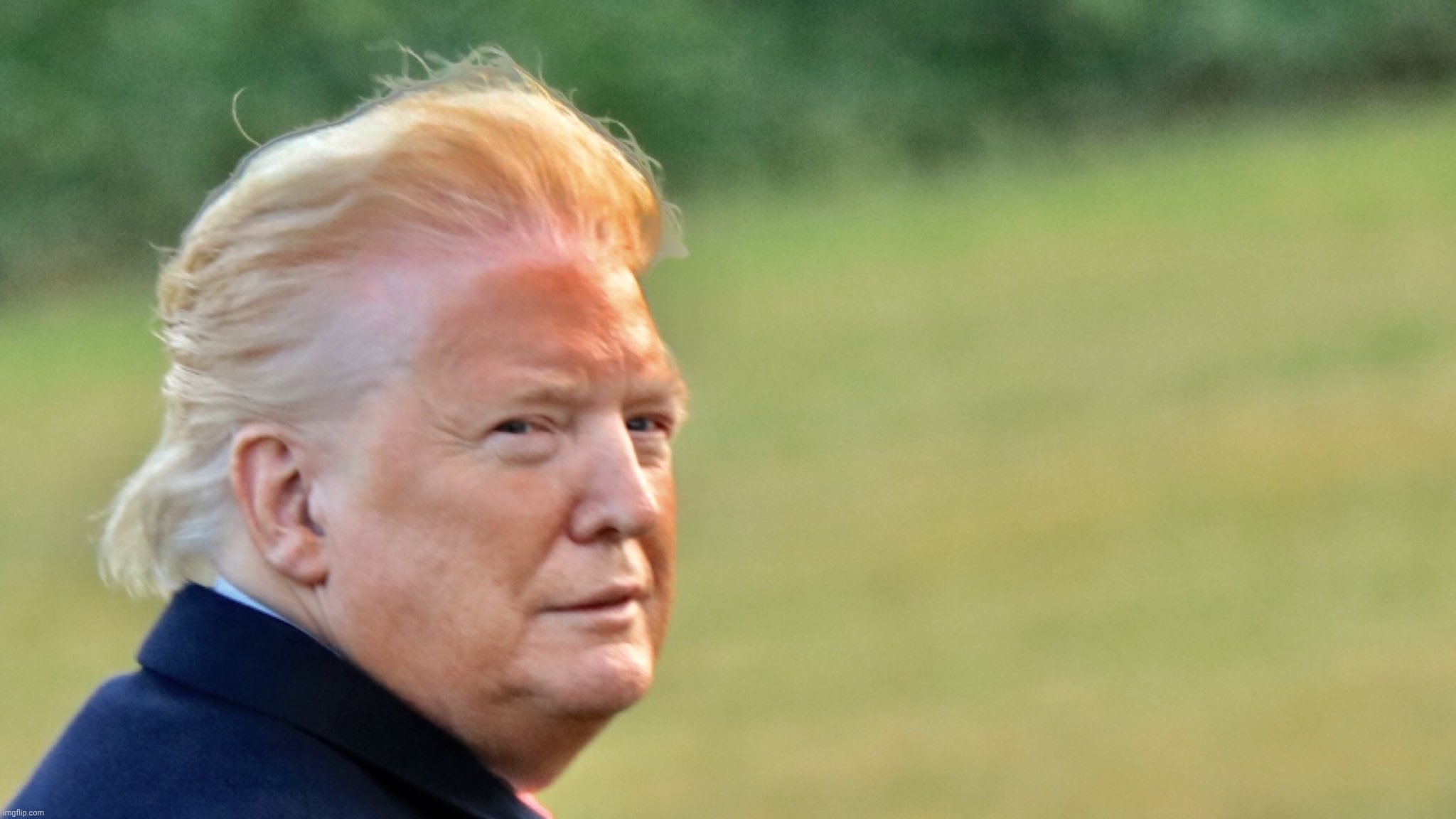 Trump Orange Makup Line | image tagged in trump orange makup line | made w/ Imgflip meme maker