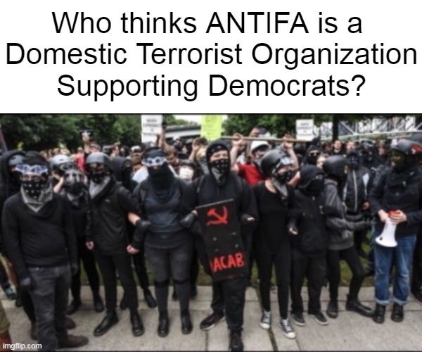 Serious question... | Who thinks ANTIFA is a 
Domestic Terrorist Organization
Supporting Democrats? | image tagged in question,opinion,antifa,terrorists,seriously,domestic violence | made w/ Imgflip meme maker