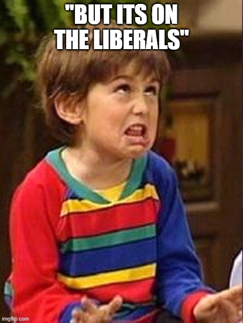 You control everything DONALD, PASS A GODDAM BUDGET | "BUT ITS ON THE LIBERALS" | image tagged in mocking kid | made w/ Imgflip meme maker