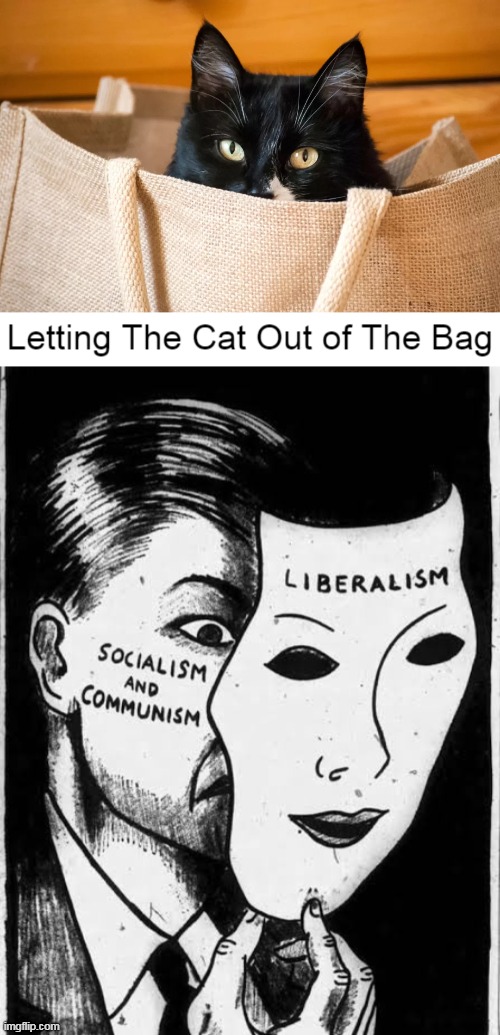 Food for Thought | image tagged in socialism,democratic socialism,communism,communist socialist,communist detected on american soil,in a nutshell | made w/ Imgflip meme maker