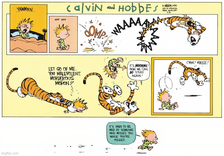 Not everyone awakens to a pouncing tiger in the morning… | image tagged in calvin and hobbes,comics,wake up,pouncing,cant stay mad | made w/ Imgflip meme maker