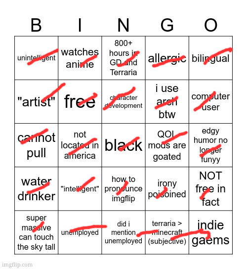 whoah i won | image tagged in idkmareeep 2025 bingo | made w/ Imgflip meme maker