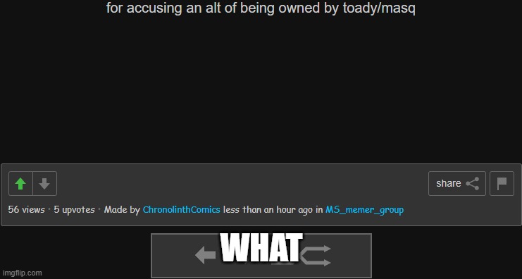 WHAT | made w/ Imgflip meme maker