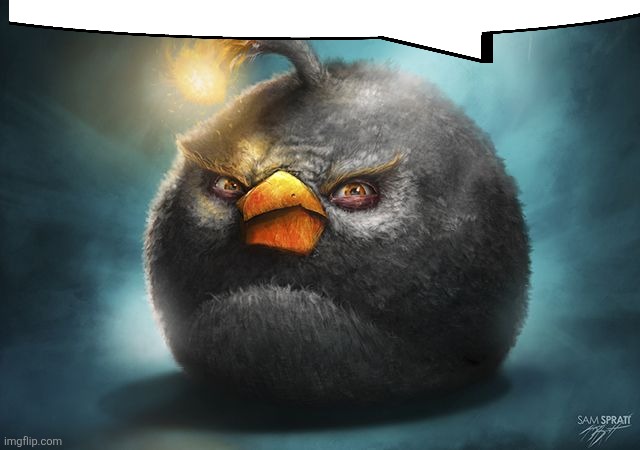 angry birds bomb | image tagged in angry birds bomb | made w/ Imgflip meme maker