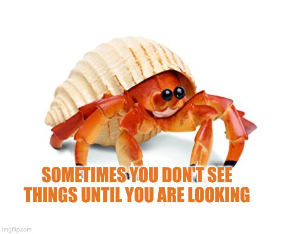 Sometimes you don't see things until you are looking | SOMETIMES YOU DON'T SEE THINGS UNTIL YOU ARE LOOKING | image tagged in crab,autism,looking | made w/ Imgflip meme maker