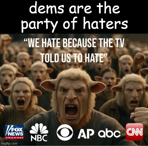 Because the MSM told them to hate. | dems are the party of haters | image tagged in dems,party of haters,because the msm told them to hate | made w/ Imgflip meme maker