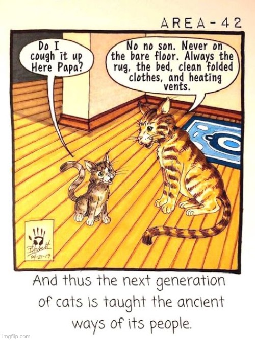 Lessons for the next generation… | image tagged in cats,comics/cartoons,teaching,kitten,papa,hairball | made w/ Imgflip meme maker