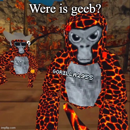 Angry monke | Were is geeb? | image tagged in angry monke | made w/ Imgflip meme maker
