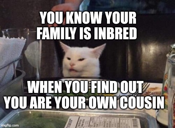 Smudge that darn cat | YOU KNOW YOUR FAMILY IS INBRED; WHEN YOU FIND OUT YOU ARE YOUR OWN COUSIN | image tagged in smudge that darn cat | made w/ Imgflip meme maker
