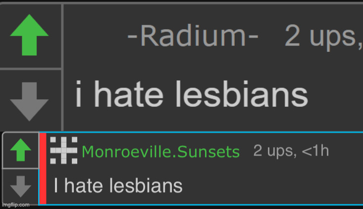 image tagged in radium i hate lesbians,disco i hate lesbians | made w/ Imgflip meme maker