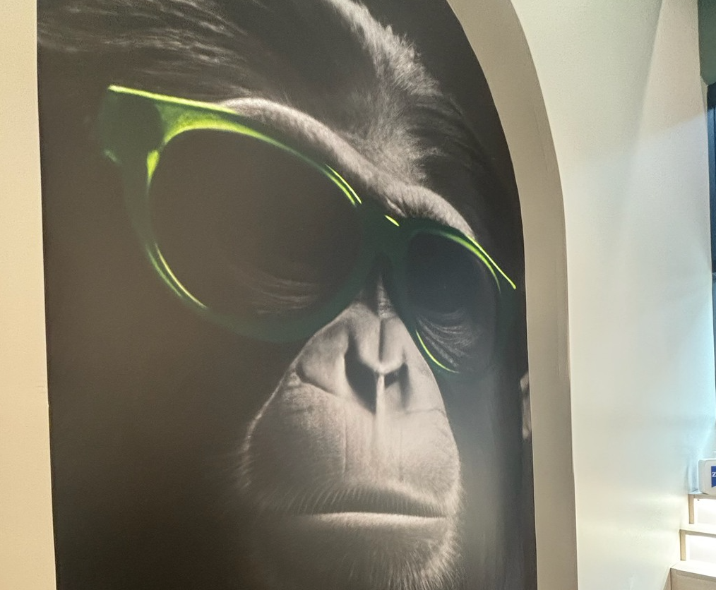 Funny Blank Meme Template