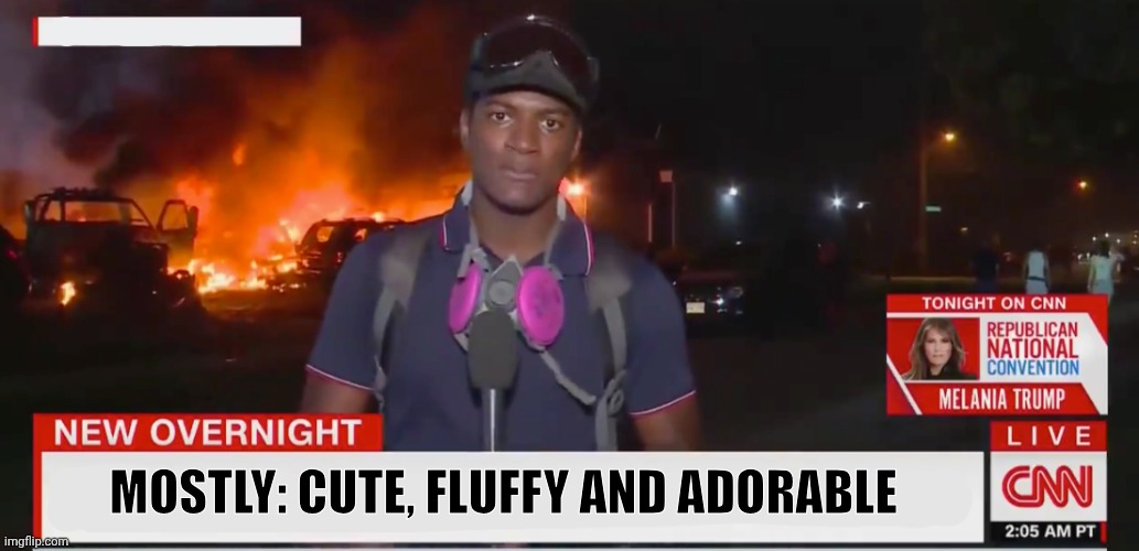 Fiery but mostly peaceful | MOSTLY: CUTE, FLUFFY AND ADORABLE | image tagged in fiery but mostly peaceful | made w/ Imgflip meme maker