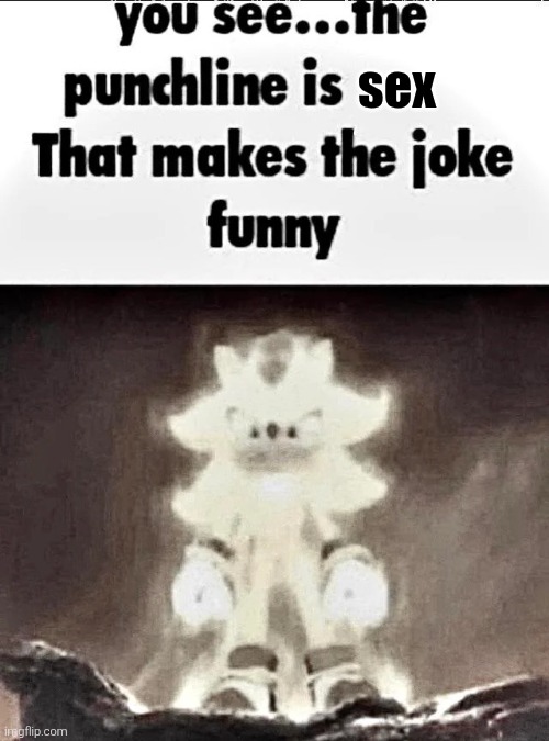 Shadow explains the joke | sex | image tagged in shadow explains the joke | made w/ Imgflip meme maker