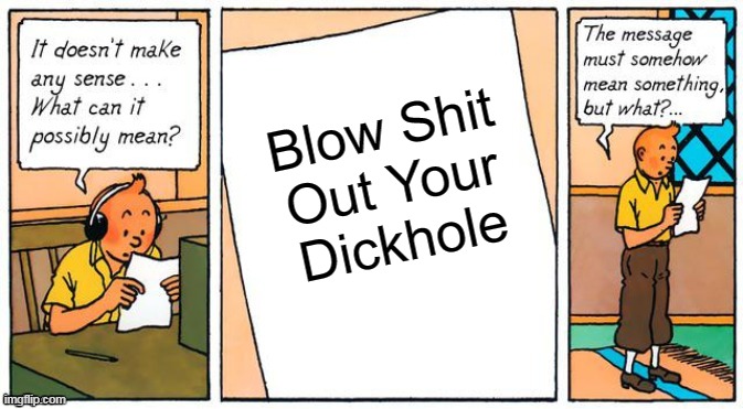 It doesn't make any sense | Blow Shit Out Your Dickhole | image tagged in it doesn't make any sense,tintin | made w/ Imgflip meme maker