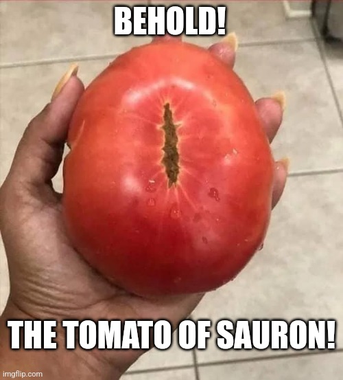 From the garden of Mordor | BEHOLD! THE TOMATO OF SAURON! | image tagged in lord of the rings,eye of sauron,mordor,garden,tomato | made w/ Imgflip meme maker
