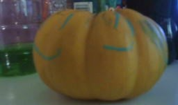 The Willam Have Been never Seen Blank Meme Template