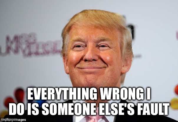 Donald trump approves | EVERYTHING WRONG I DO IS SOMEONE ELSE'S FAULT | image tagged in donald trump approves | made w/ Imgflip meme maker
