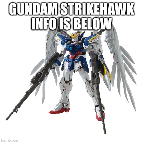 GUNDAM STRIKEHAWK INFO IS BELOW | made w/ Imgflip meme maker