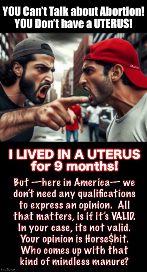 Speaking for those who don’t have a voice | I LIVED IN A UTERUS
for 9 months! But —here in America— we
don’t need any qualifications
to express an opinion.  All
that matters, is if it’s VALID.
In your case, its not valid.
Your opinion is Horse$hit.
Who comes up with that
kind of mindless manure? | image tagged in memes,mindless lefty has to say something,it usually makes zero sense,but they heard it n remembered it,fjb voters kissmyass | made w/ Imgflip meme maker