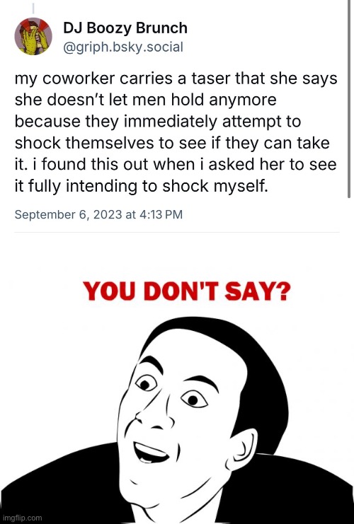Lowkey woulda done the same thing | image tagged in memes,you don't say,funny memes,taser,shitpost | made w/ Imgflip meme maker