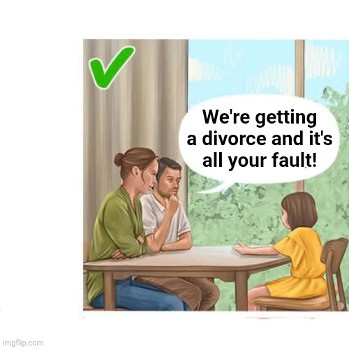 We're getting
a divorce and it's
all your fault! | made w/ Imgflip meme maker