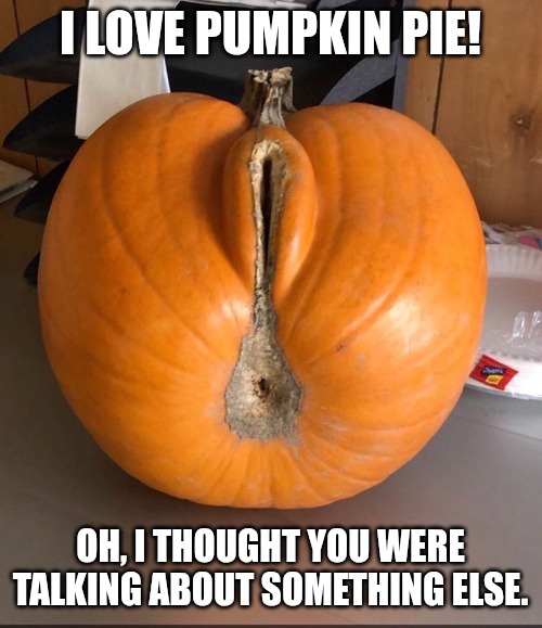 Pumpkin pie | I LOVE PUMPKIN PIE! OH, I THOUGHT YOU WERE TALKING ABOUT SOMETHING ELSE. | image tagged in funny memes | made w/ Imgflip meme maker