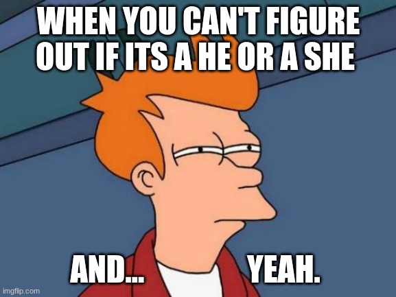 down vote this??? | WHEN YOU CAN'T FIGURE OUT IF ITS A HE OR A SHE; AND...                 YEAH. | image tagged in memes | made w/ Imgflip meme maker