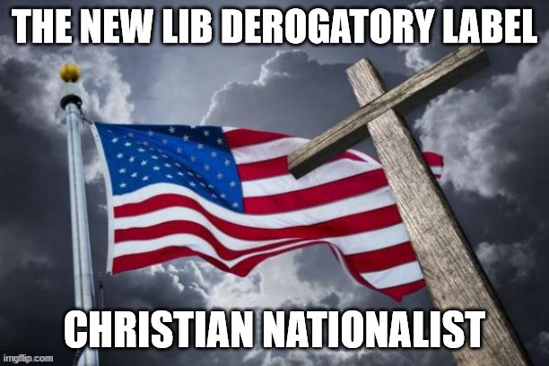 The new lib derogatory label | image tagged in triggered libs,derogatory labels,they need them | made w/ Imgflip meme maker