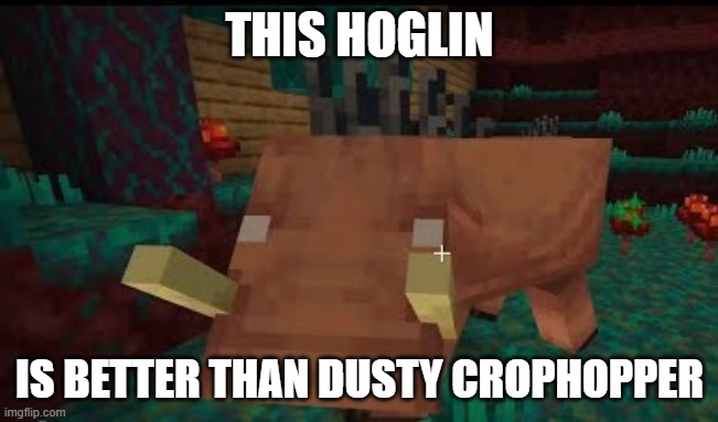 Hoglin | THIS HOGLIN; IS BETTER THAN DUSTY CROPHOPPER | image tagged in hoglin | made w/ Imgflip meme maker
