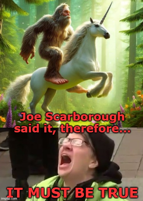Joe Scarborough said it, therefore... IT MUST BE TRUE | image tagged in screaming liberal | made w/ Imgflip meme maker