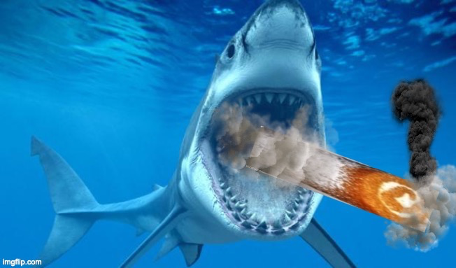 badass shark smoking a cinnamon roll Blank Meme Template