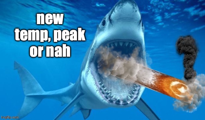 badass shark smoking a cinnamon roll | new temp, peak or nah | image tagged in badass shark smoking a cinnamon roll | made w/ Imgflip meme maker