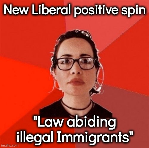 Putting the "Moron" in "Oxymoron" | New Liberal positive spin; "Law abiding illegal Immigrants" | image tagged in liberal douche garofalo,good luck,clown world,stupid liberals | made w/ Imgflip meme maker