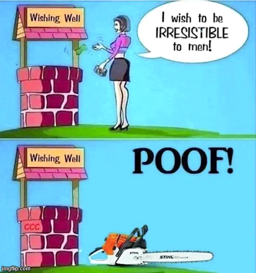 Irresistible | image tagged in repost,irresistible | made w/ Imgflip meme maker