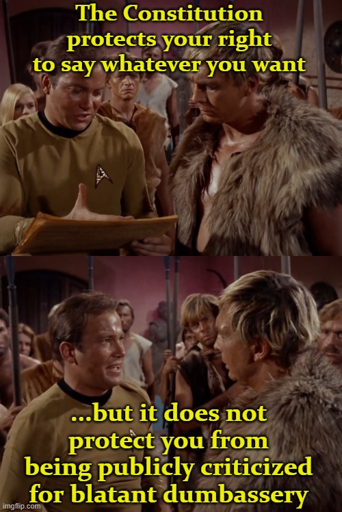 Freedom of Speech does not mean what you think it means | The Constitution protects your right to say whatever you want; ...but it does not protect you from being publicly criticized for blatant dumbassery | image tagged in captain kirk,cloud william,star trek,the constitution | made w/ Imgflip meme maker