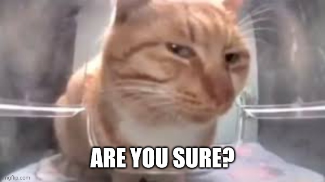 side eye cat | ARE YOU SURE? | image tagged in side eye cat | made w/ Imgflip meme maker
