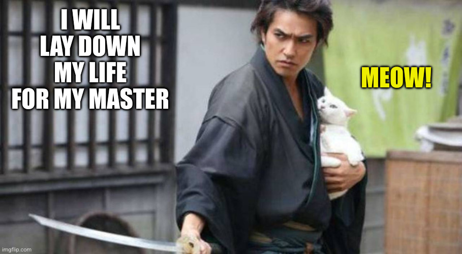 Walking the Path of the Cat is Honorable | I WILL LAY DOWN MY LIFE FOR MY MASTER MEOW! | image tagged in samurai protecting cat,memes,master cat,honor,bodyguard,meow | made w/ Imgflip meme maker