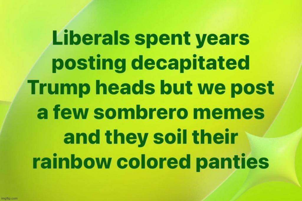 This is how you trigger stupid liberals and make them soil their panties. | image tagged in stupid people be like,goofy stupid liberal college student,sjw triggered,liberal hypocrisy,trump derangement syndrome | made w/ Imgflip meme maker