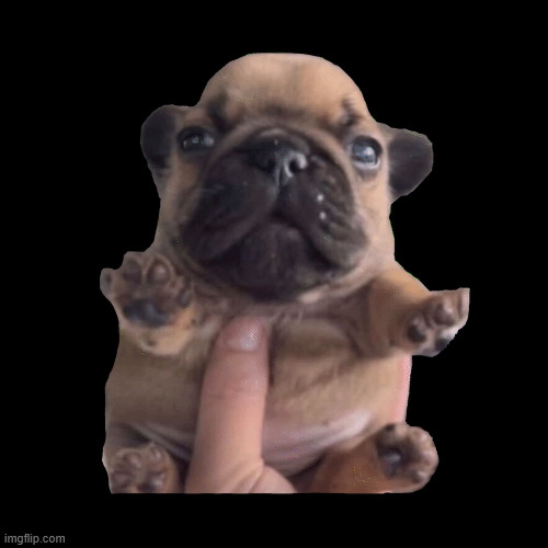 is it selfish to wish i was meaningful | image tagged in pibble | made w/ Imgflip meme maker