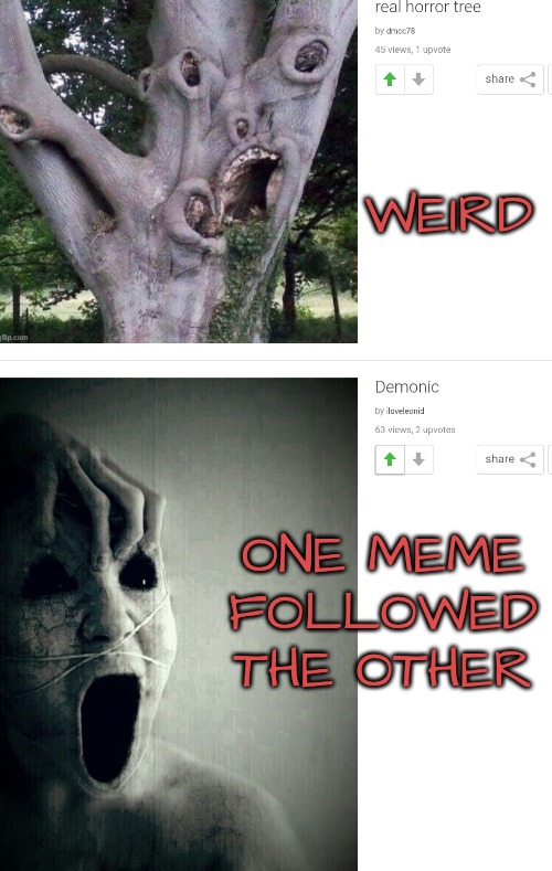 Placement of memes in a stream can be horrifically telling | WEIRD; ONE MEME FOLLOWED THE OTHER | image tagged in horror,memes about memeing | made w/ Imgflip meme maker
