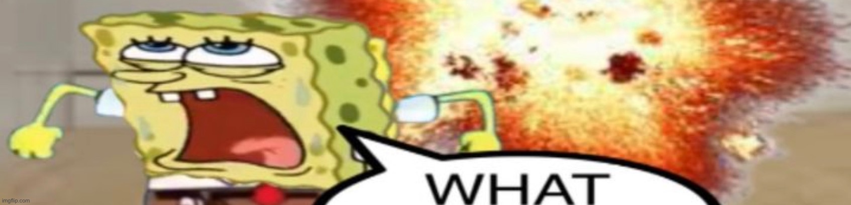 WHAT | image tagged in what | made w/ Imgflip meme maker