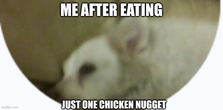 my dog max | ME AFTER EATING; JUST ONE CHICKEN NUGGET | image tagged in my dog max | made w/ Imgflip meme maker