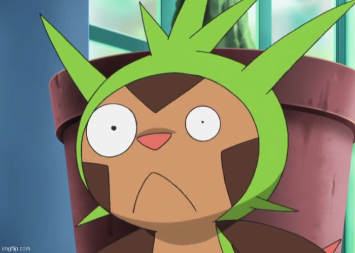 Chespin's WTF Face | image tagged in chespin's wtf face,chespin,pokemon,anime,memes | made w/ Imgflip meme maker