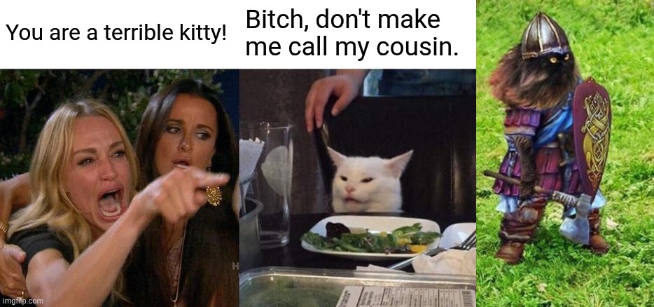 Call my cousin | You are a terrible kitty! Bitch, don't make me call my cousin. | image tagged in memes,woman yelling at cat,viking cat | made w/ Imgflip meme maker